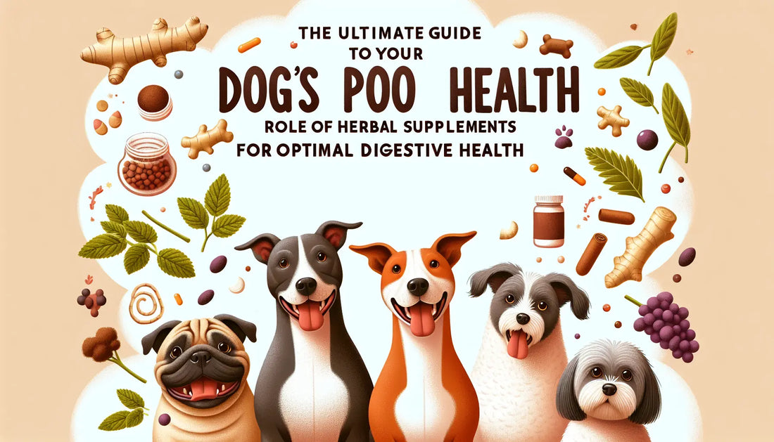 Dog's Poo Health: Herbal Supplements for Optimal Digestive Health