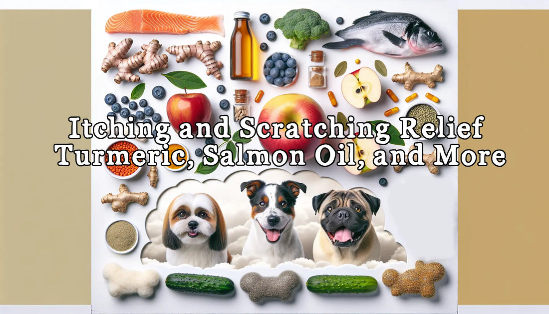 Home remedy for dog itching and scratching online