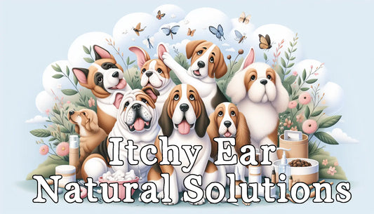Itchy Ears Natural Solutions