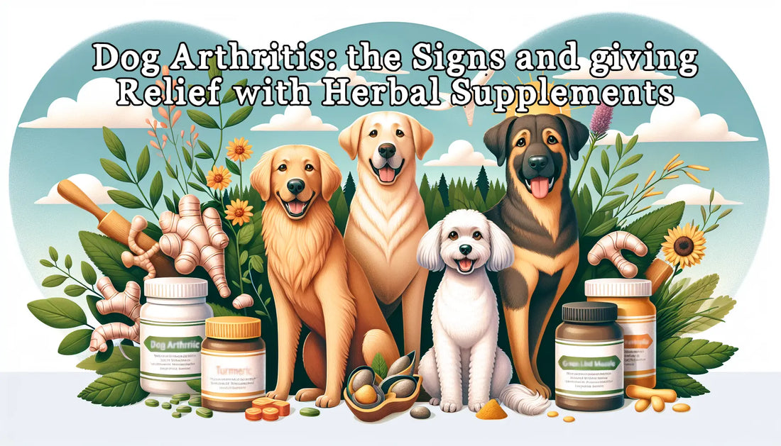 Arthritis: Signs and herbal Remedies