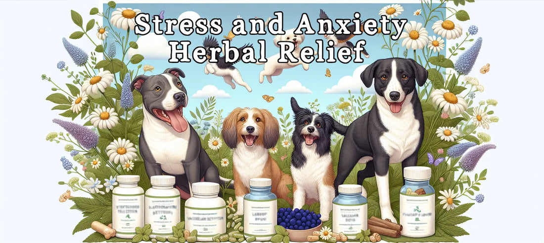 Stress: Managing and Alleviating Dog Stress with Herbal Supplements