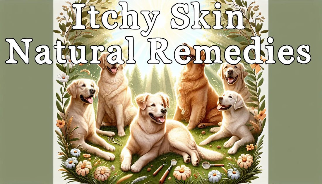 Itchy Skin: Using Natural Solutions