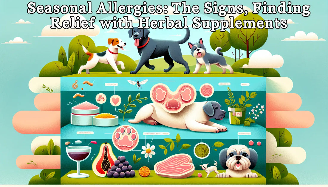 Seasonal Allergies: Top Signs, Natural Herbal Remedies for Itching and Scratching