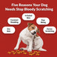 Stop+Bloody+Scratching+-+Natural+Itching+Dog+Treats