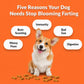 Stop+Blooming+Farting+-+Natural+Digestion+Dog+Treats
