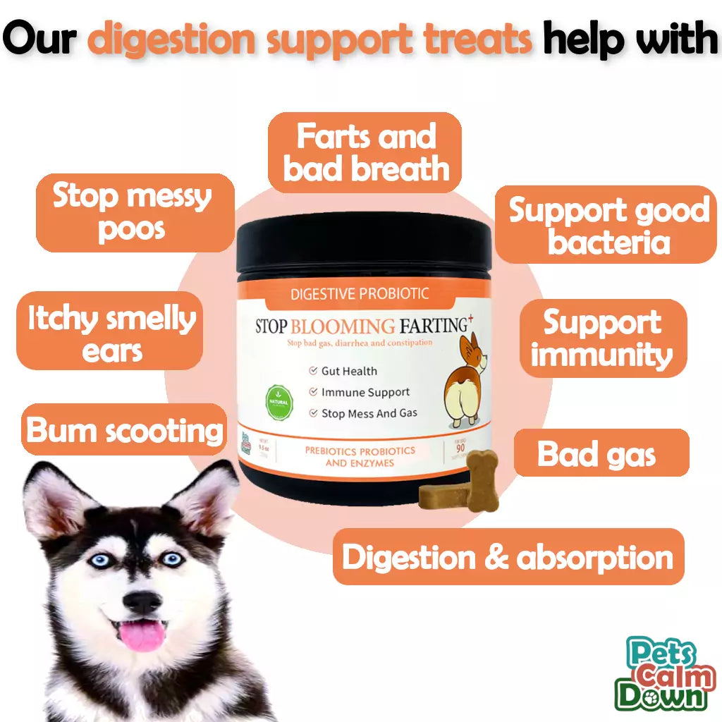 Stop Blooming Farting Probiotic dog treats Farting smelly