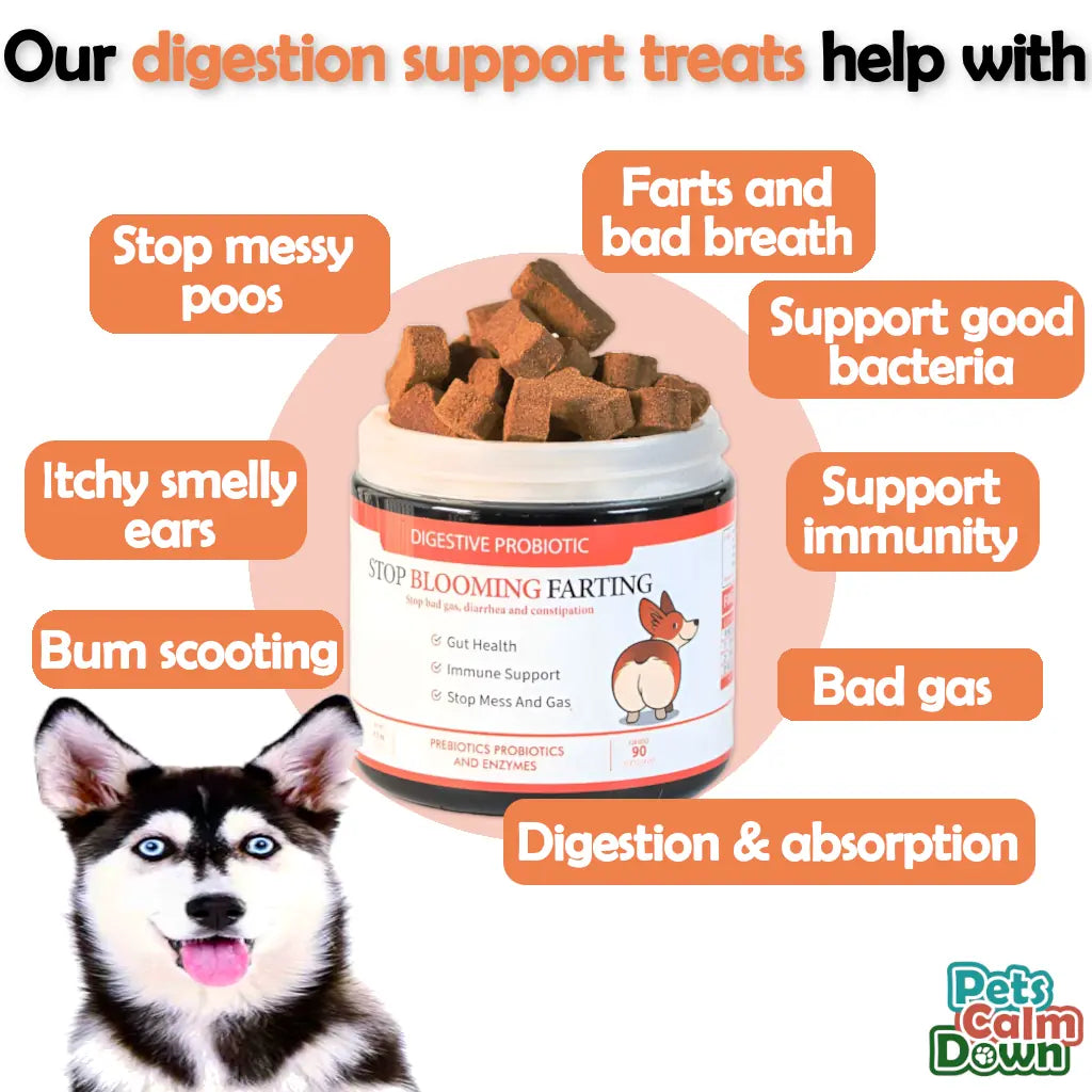 Probiotic dog treats for gas, mess, immunity, digestive health (natural herbal)