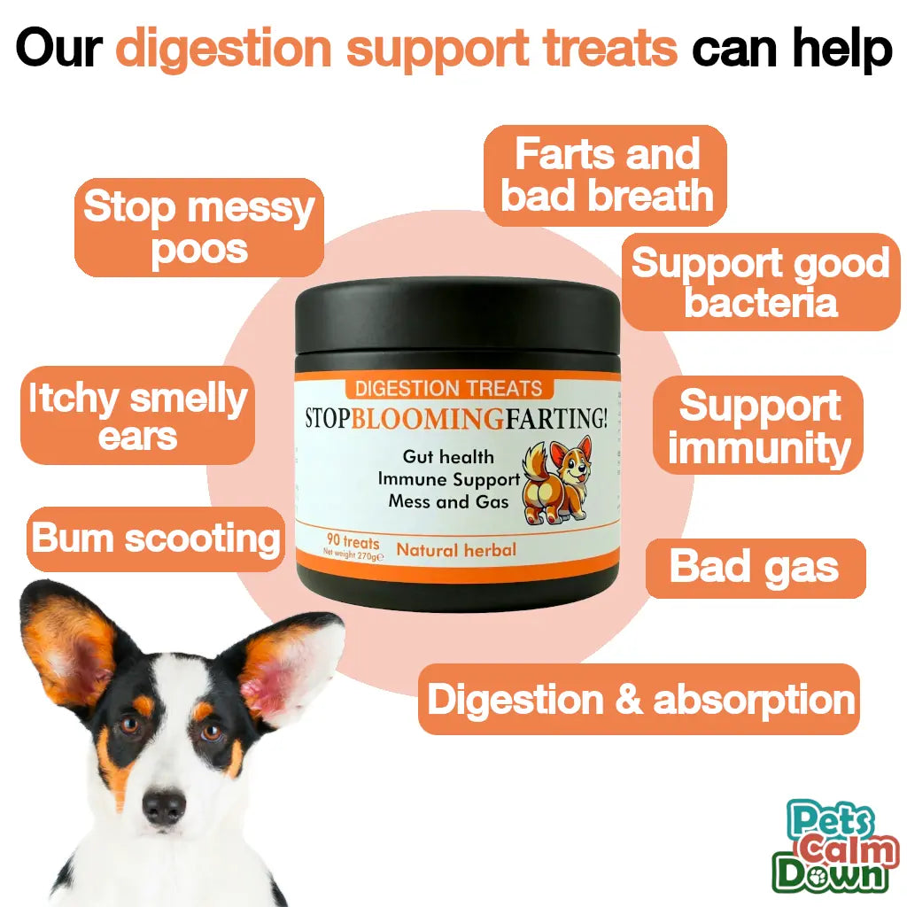 Probiotic dog treats for gas, mess, immunity, digestive health (natural herbal)