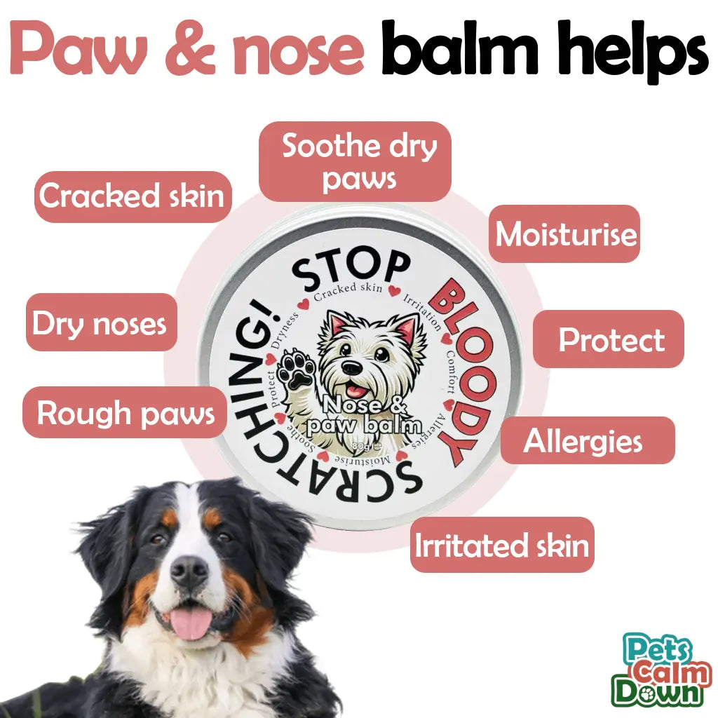 Paw & Nose Balm for Dogs - 100% Natural Anti-Inflammatory Moisturiser beeswax for Paws | Big tin 80g