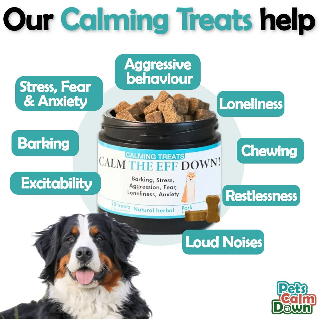 Calming dog treats for barking, stress, anxiety (natural herbal)