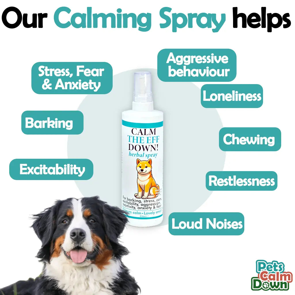 Illustration of Reducing Barking Due To High Stress