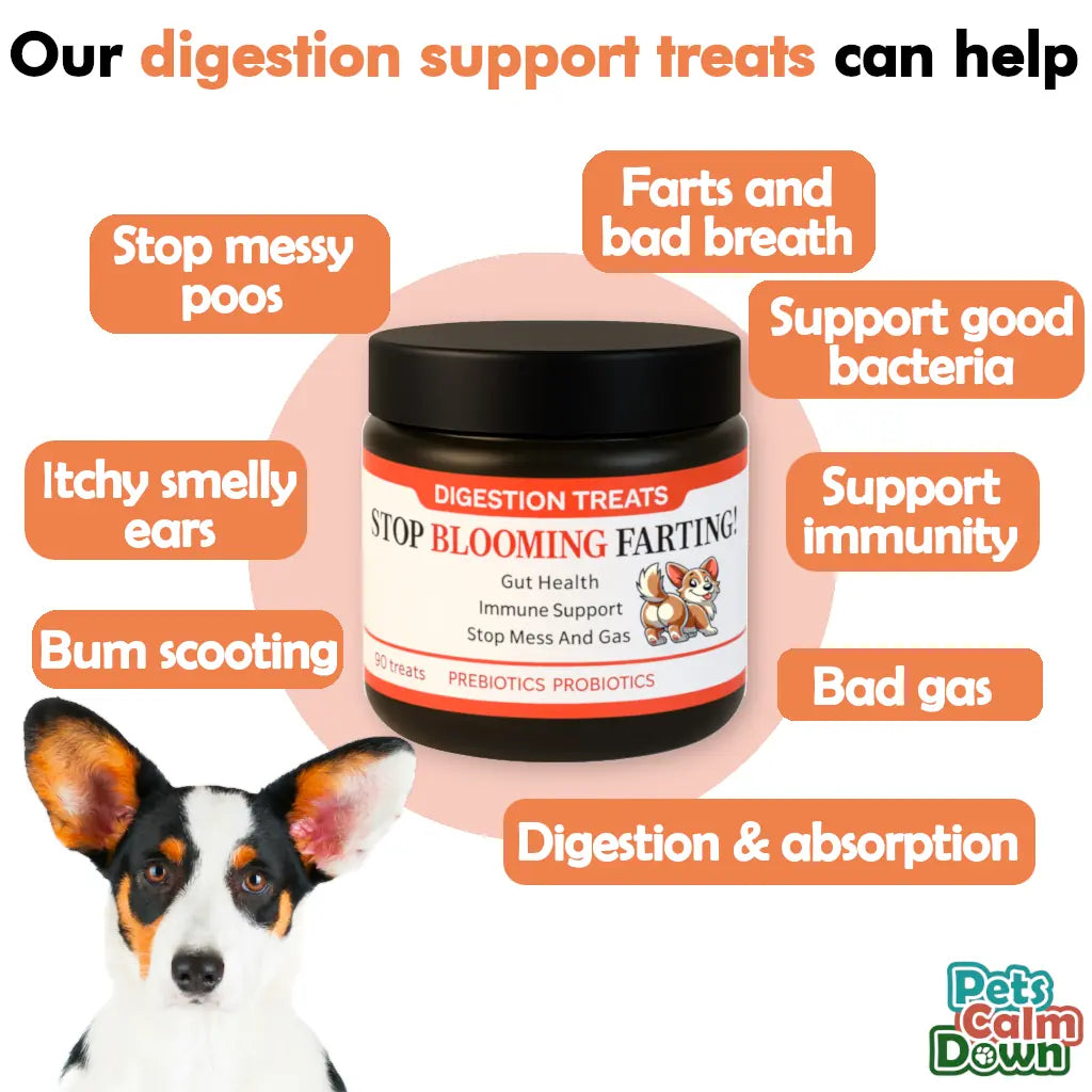 Pet supplement jar with a dog and text about digestion support treats.