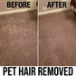 Dog+Hair+Remover