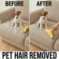 Dog+Hair+Remover