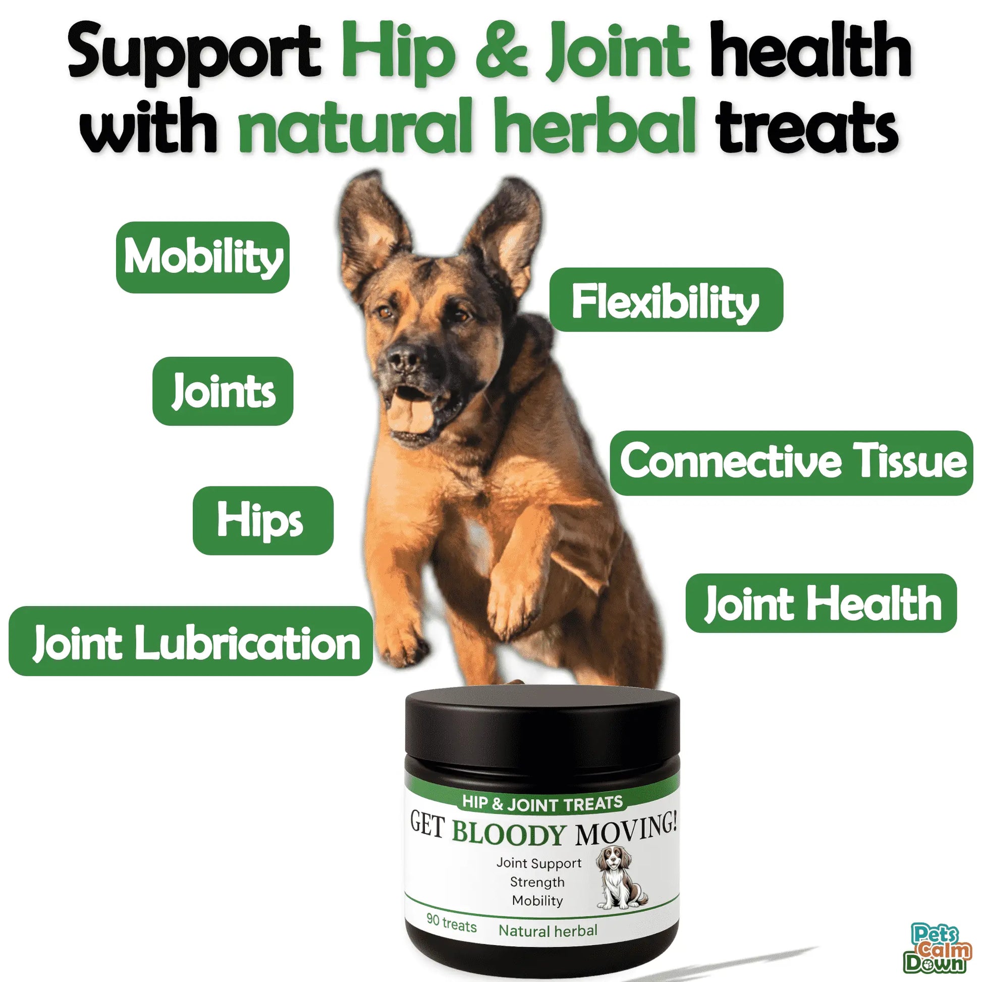 Dog with hip and joint health benefits listed next to a jar of 'Get Bloody Moving' hip and joint treats.