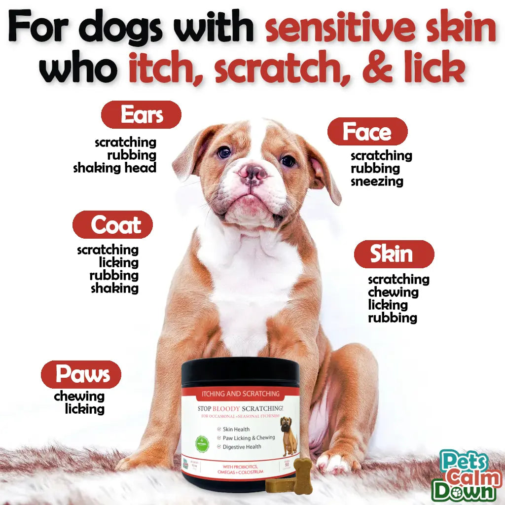 Stop Bloody Scratching | Itching And Scratching Relief Dog Treats ...