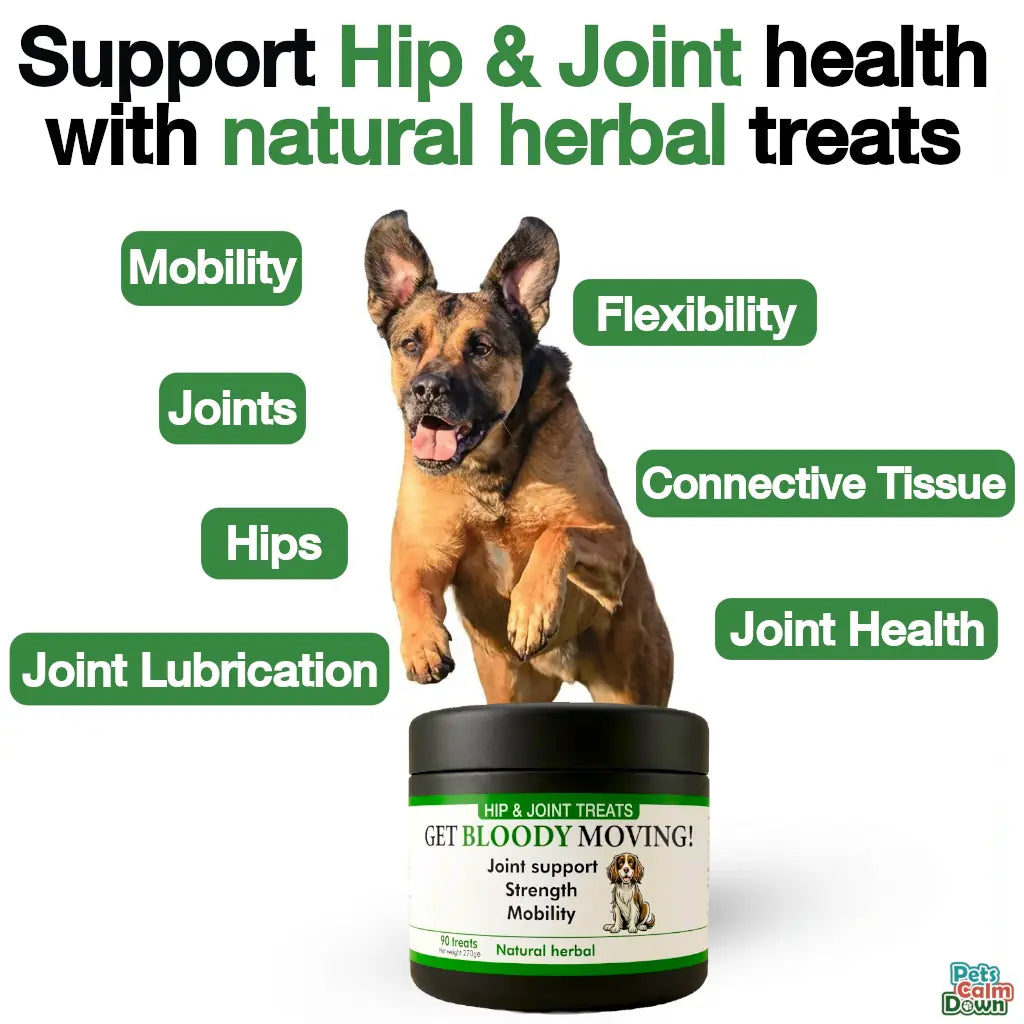 Hip & joint dog treats for age, mobility, strength, joints (natural herbal)