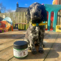 Happy customers. Product that works. Highly rated.