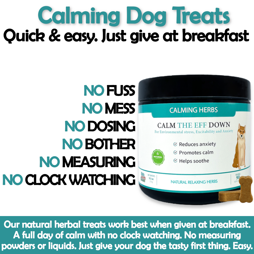 Calm down best sale dog treats