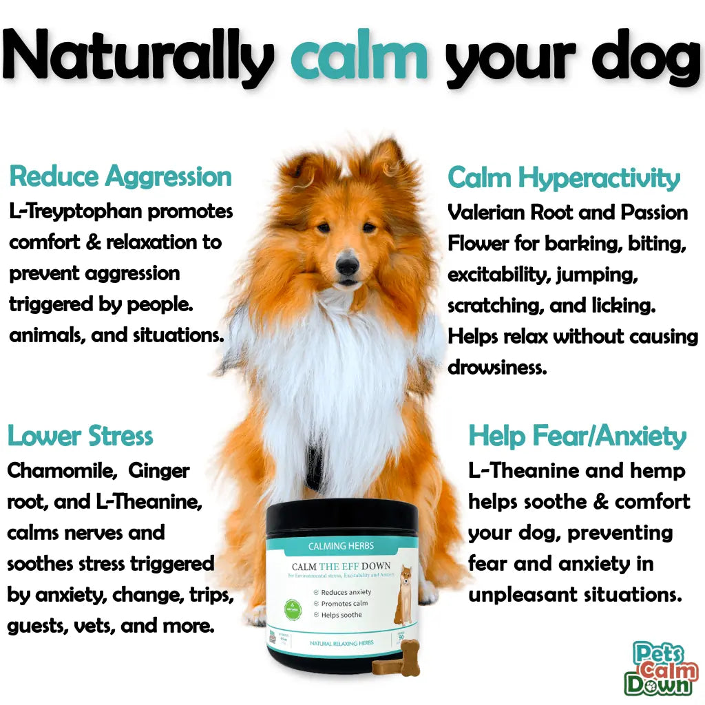 Calming dog treats for barking stress anxiety natural herbal