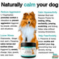 Calm+The+Eff+Down+-+Natural+Calming+Dog+Treats