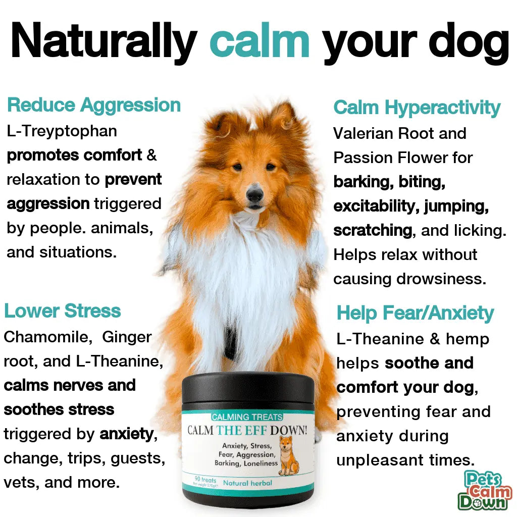 Calm The Eff Down - Natural Calming Dog Treats