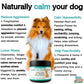 Calming+dog+treats+for+barking%2C+stress%2C+anxiety+%28natural+herbal%29