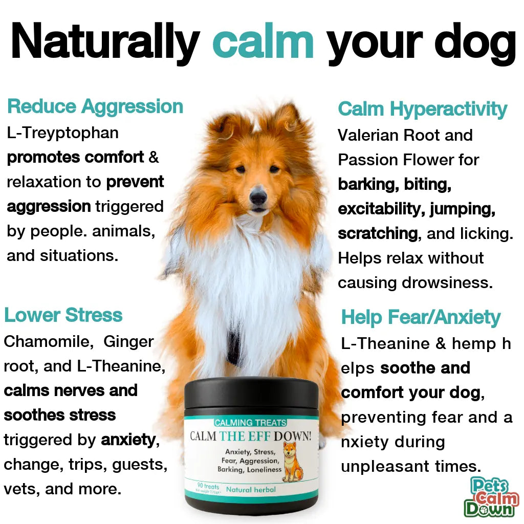 Calming dog treats for barking, stress, anxiety (natural herbal)