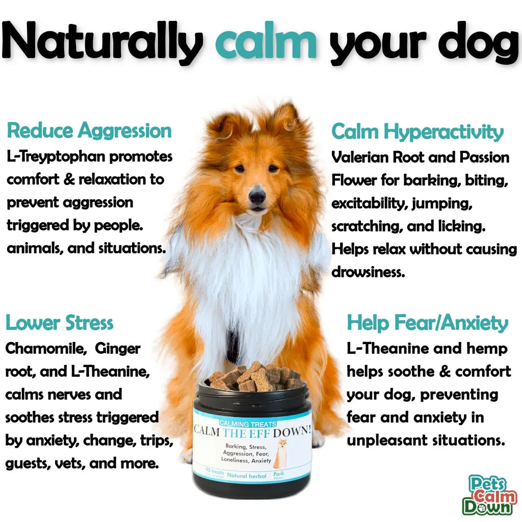 Calming dog treats for barking, stress, anxiety (natural herbal)