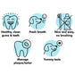Daily+Use+Herbal+Dental+Sticks+for+Clean+Teeth%2C+Gums+%26+Breath