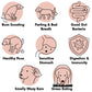 Illustrations of dog health issues and their solutions on a white background
