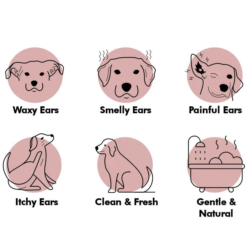 Ear Wash. Soothe Itchy, Gunky, Waxy & Smelly Ears. Head Shaking, Scratching & Rubbing