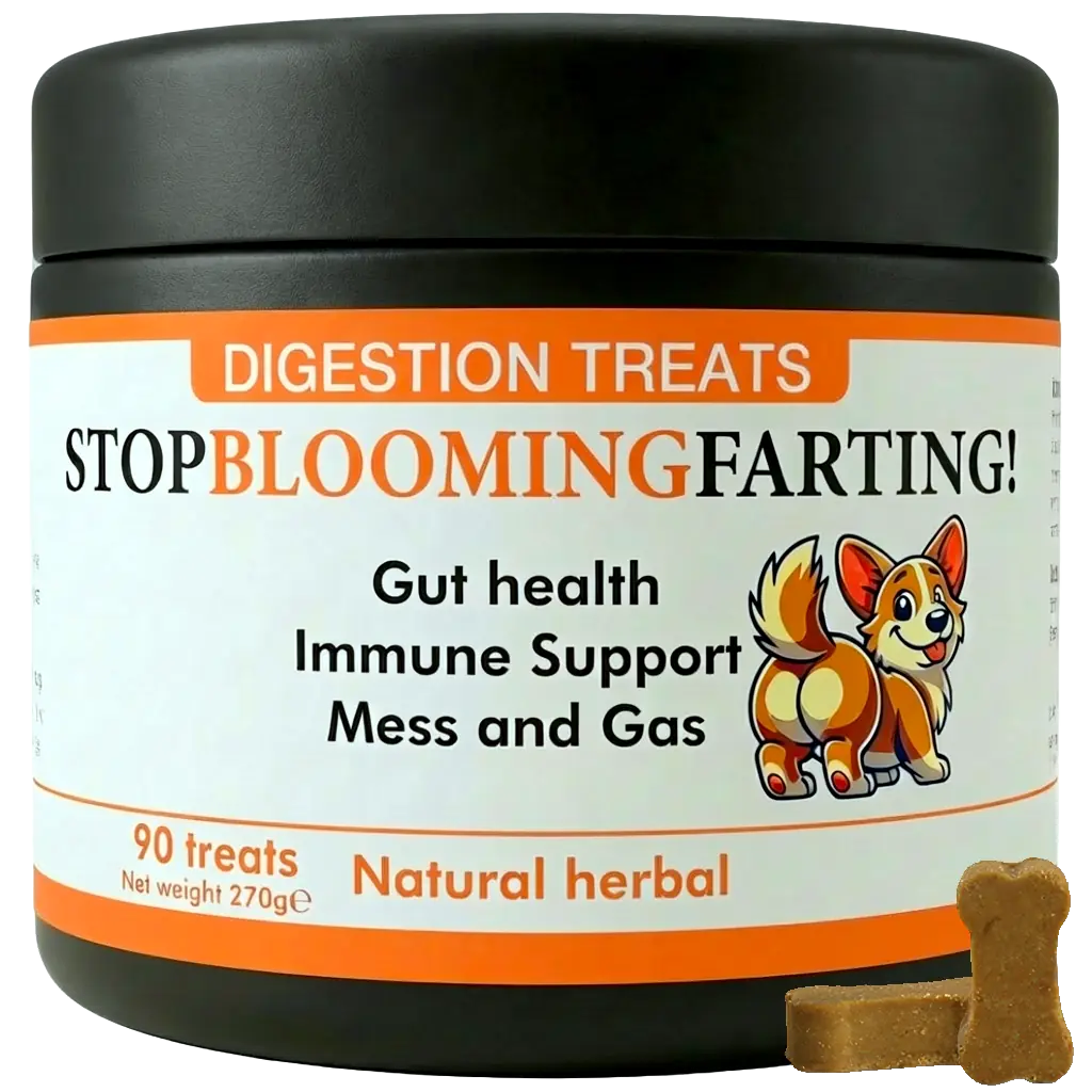 Top 10 Dog Probiotics That Will Give Your Furry Friend A Healthy Gut In