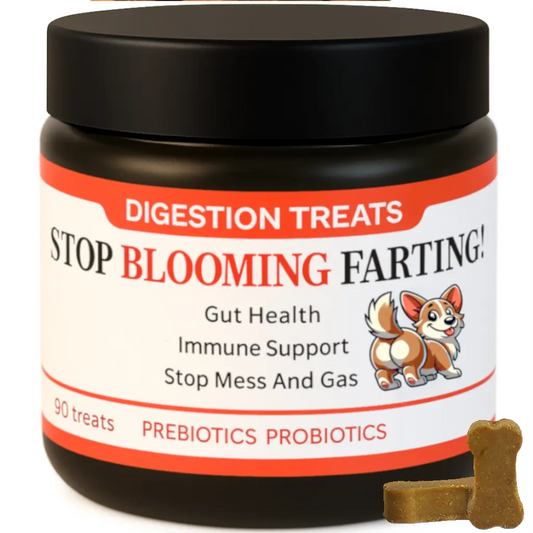 Jar of dog digestion treats with a black lid and colorful label on a white background