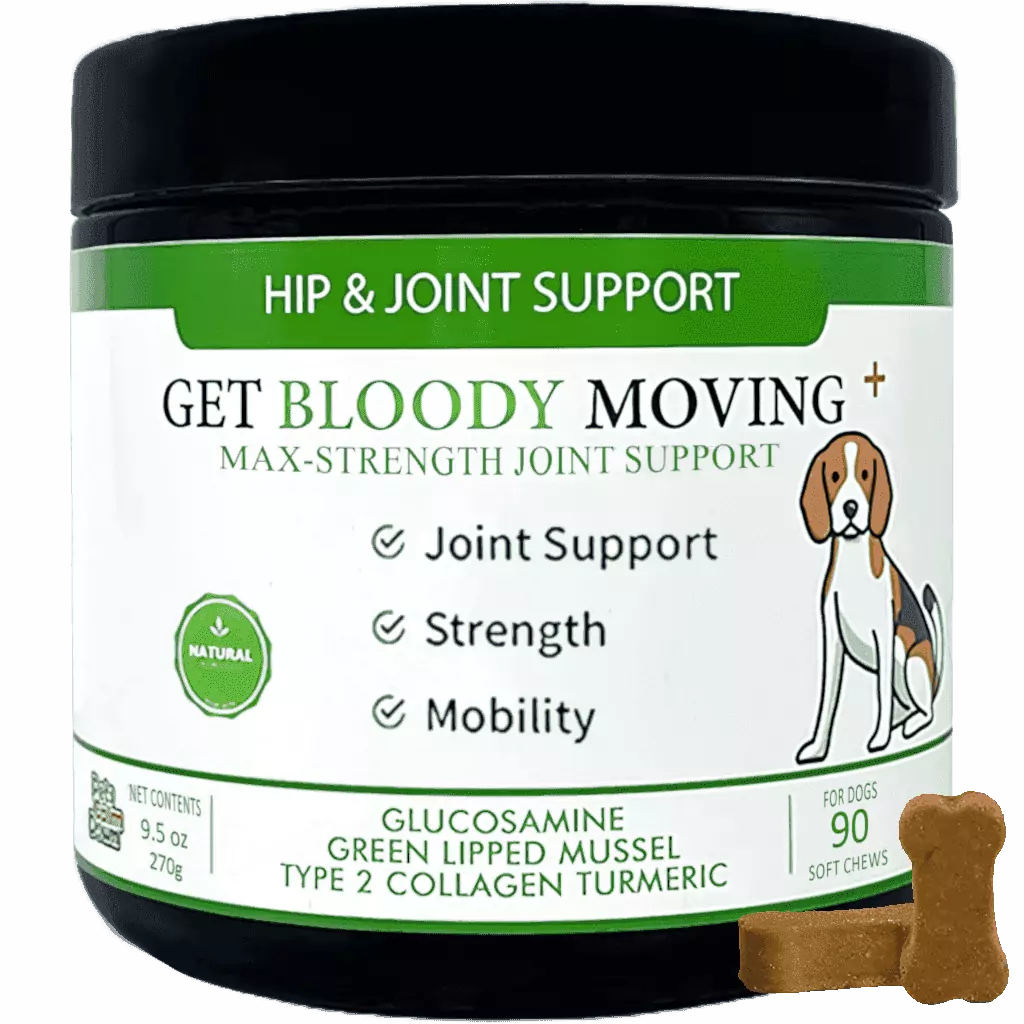 Hip and joint meds for deals dogs