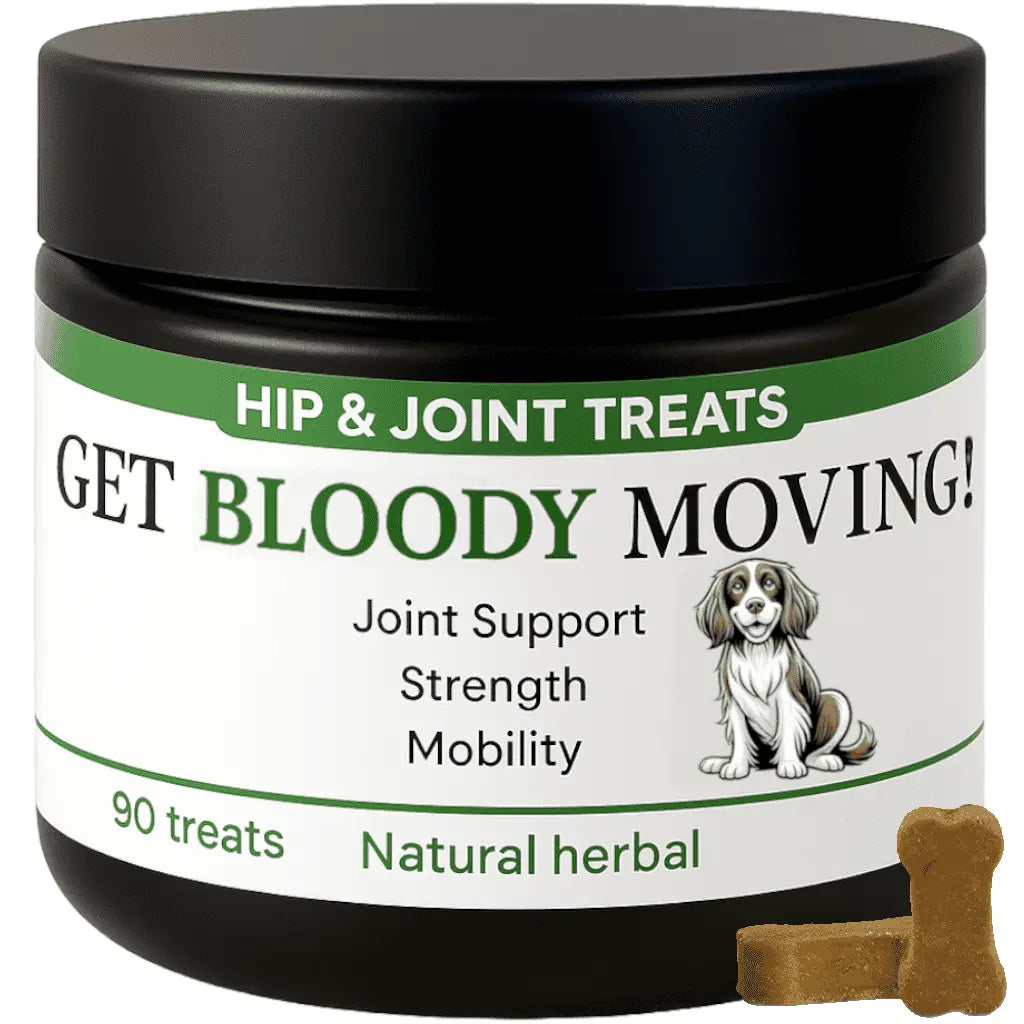 Jar of 'Get Bloody Moving!' hip and joint treats for dogs with a black lid and white label.
