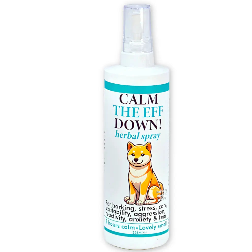 Calming Herbs For Barking Issues In Puppies At Home photo