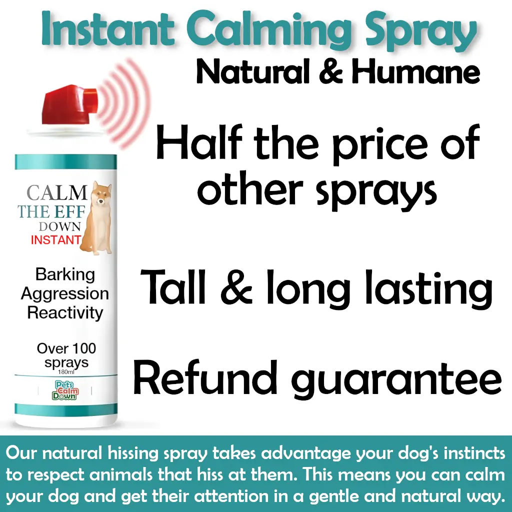 Dog training spray for barking, jumping, aggression, whining