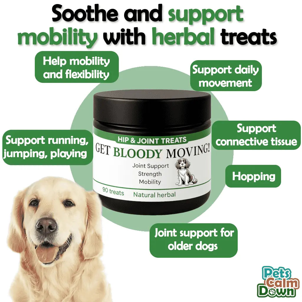 Jar of 'Get Bloody Moving' hip and joint treats for dogs with a dog in front, surrounded by text about product benefits.