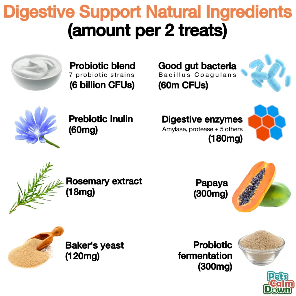 Probiotic dog treats for gas, mess, immunity, digestive health (natural herbal)