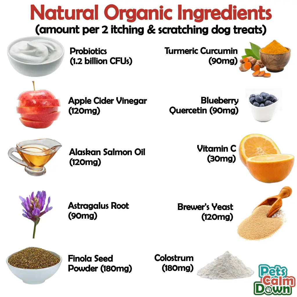 Natural organic cheap dog treats