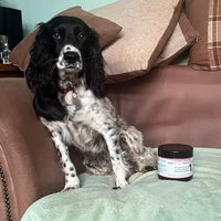 Happy customers. Product that works. Highly rated.