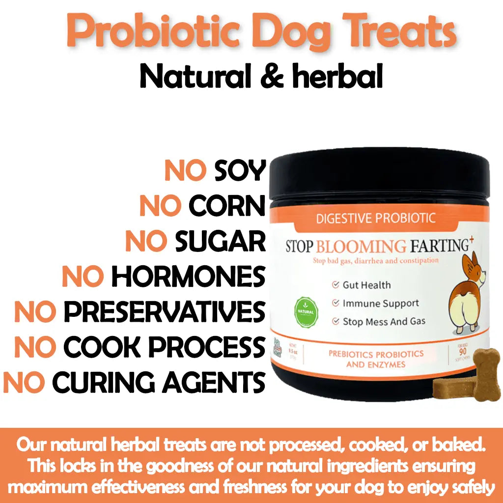 Probiotic dog treats for gas, mess, immunity, digestive health (natural herbal)