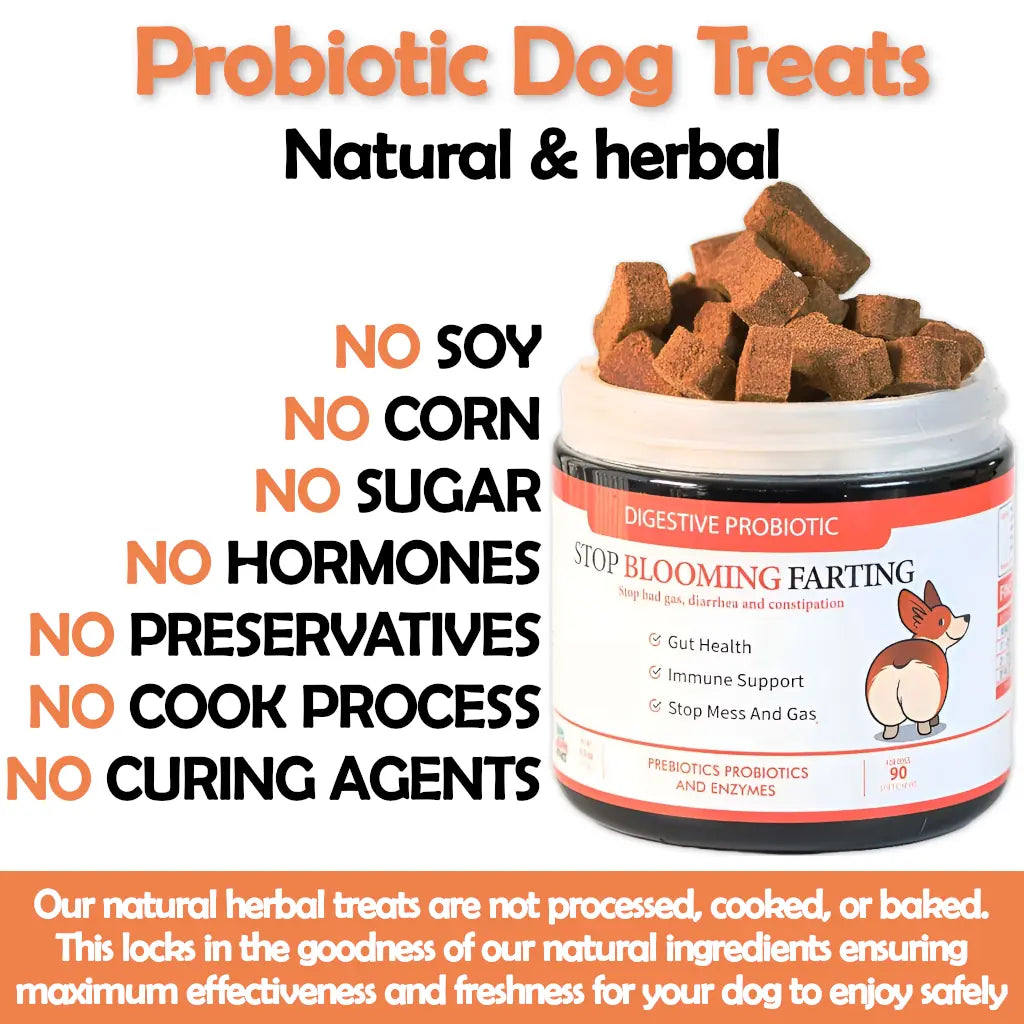 Probiotic dog treats for gas, mess, immunity, digestive health (natural herbal)