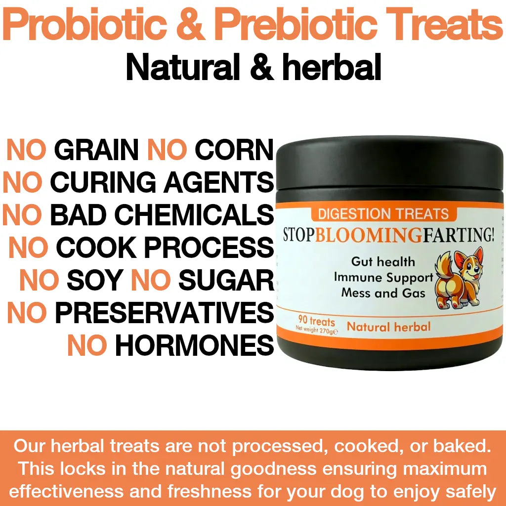 Probiotic dog treats for gas, mess, immunity, digestive health (natural herbal)