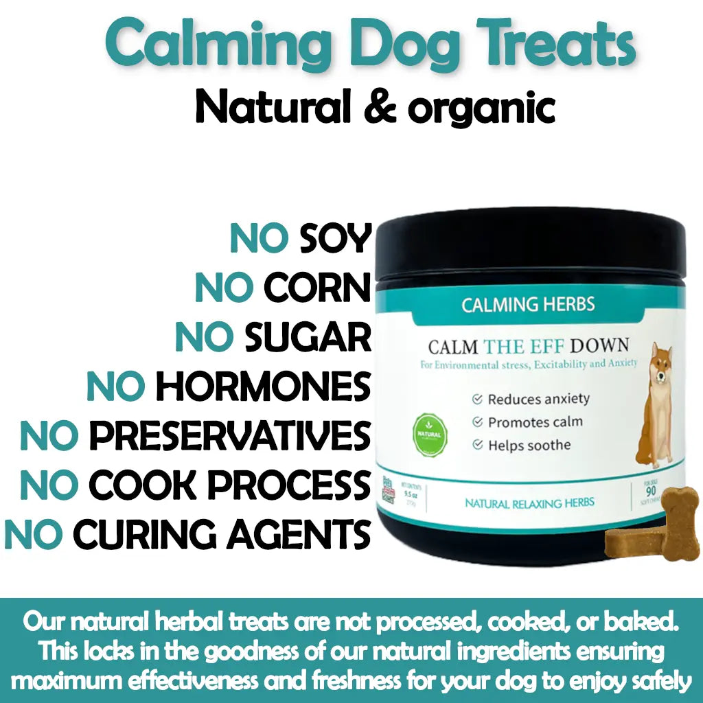 Natural anti deals anxiety for dogs