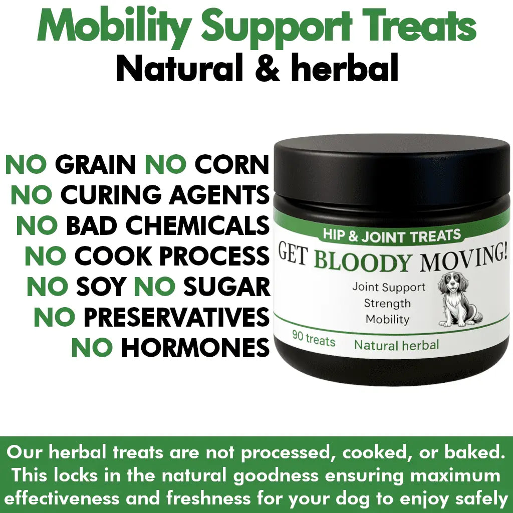 Jar of 'Get Bloody Moving!' hip and joint treats for dogs with green and black label.