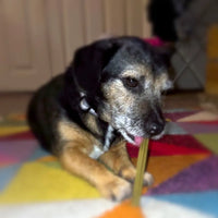 Happy customers. Product that works. Highly rated.