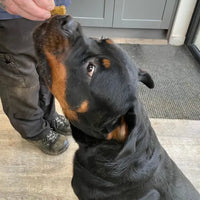 Happy customers. Product that works. Highly rated.