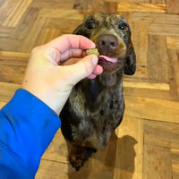 Happy customers. Product that works. Highly rated.